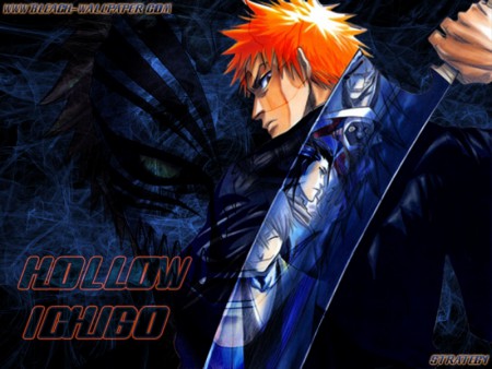 -Bleach-